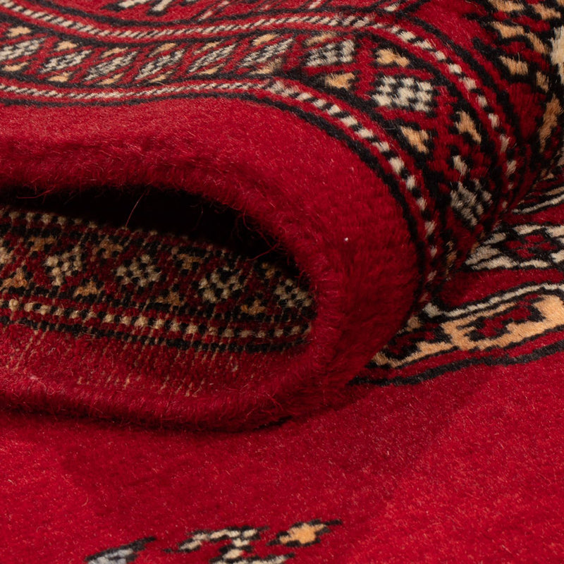 Alfombra de pasillo Alfombra Pakistani - 239 x 79 cm - rojo