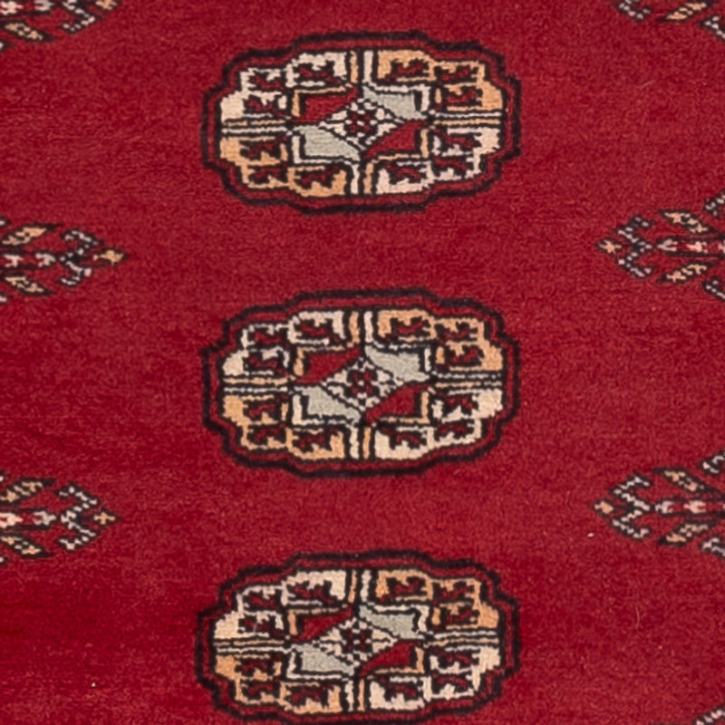 Alfombra de pasillo Alfombra Pakistani - 235 x 79 cm - rojo