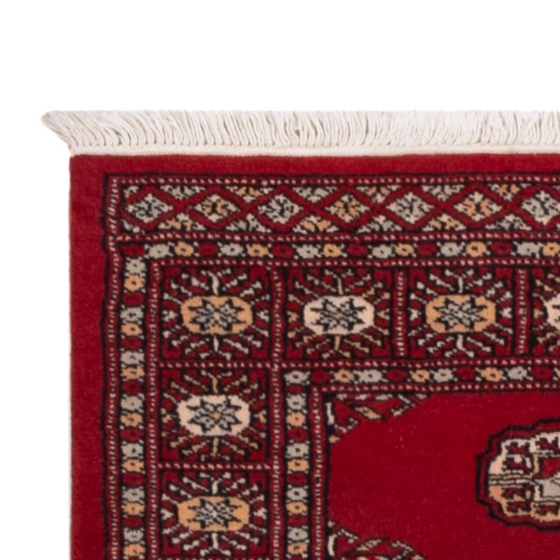 Alfombra de pasillo Alfombra Pakistani - 235 x 79 cm - rojo