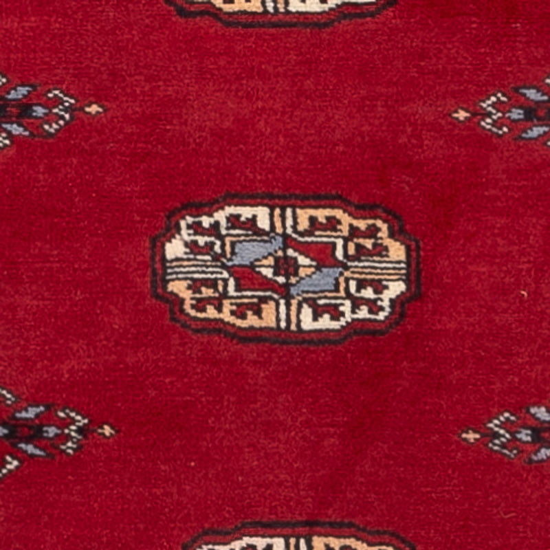 Alfombra de pasillo Alfombra Pakistani - 247 x 79 cm - rojo