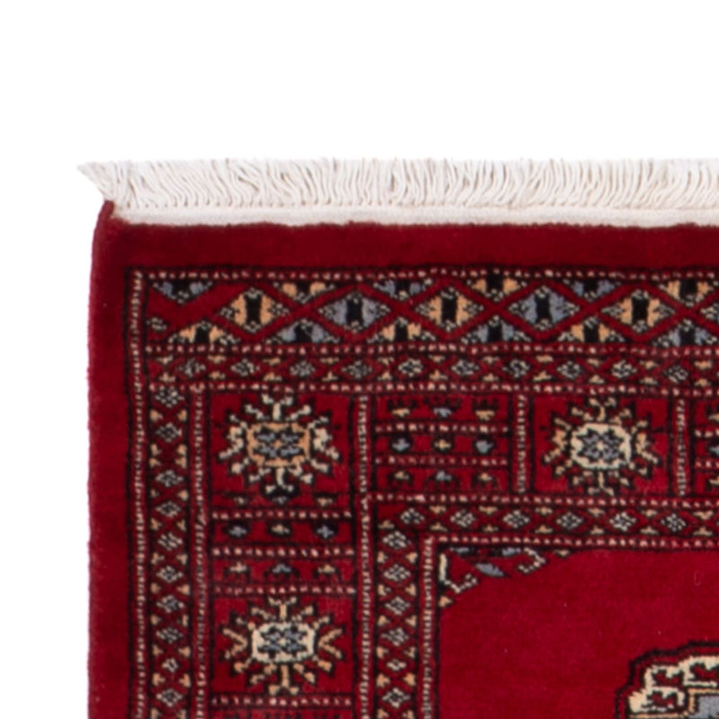 Alfombra de pasillo Alfombra Pakistani - 247 x 79 cm - rojo