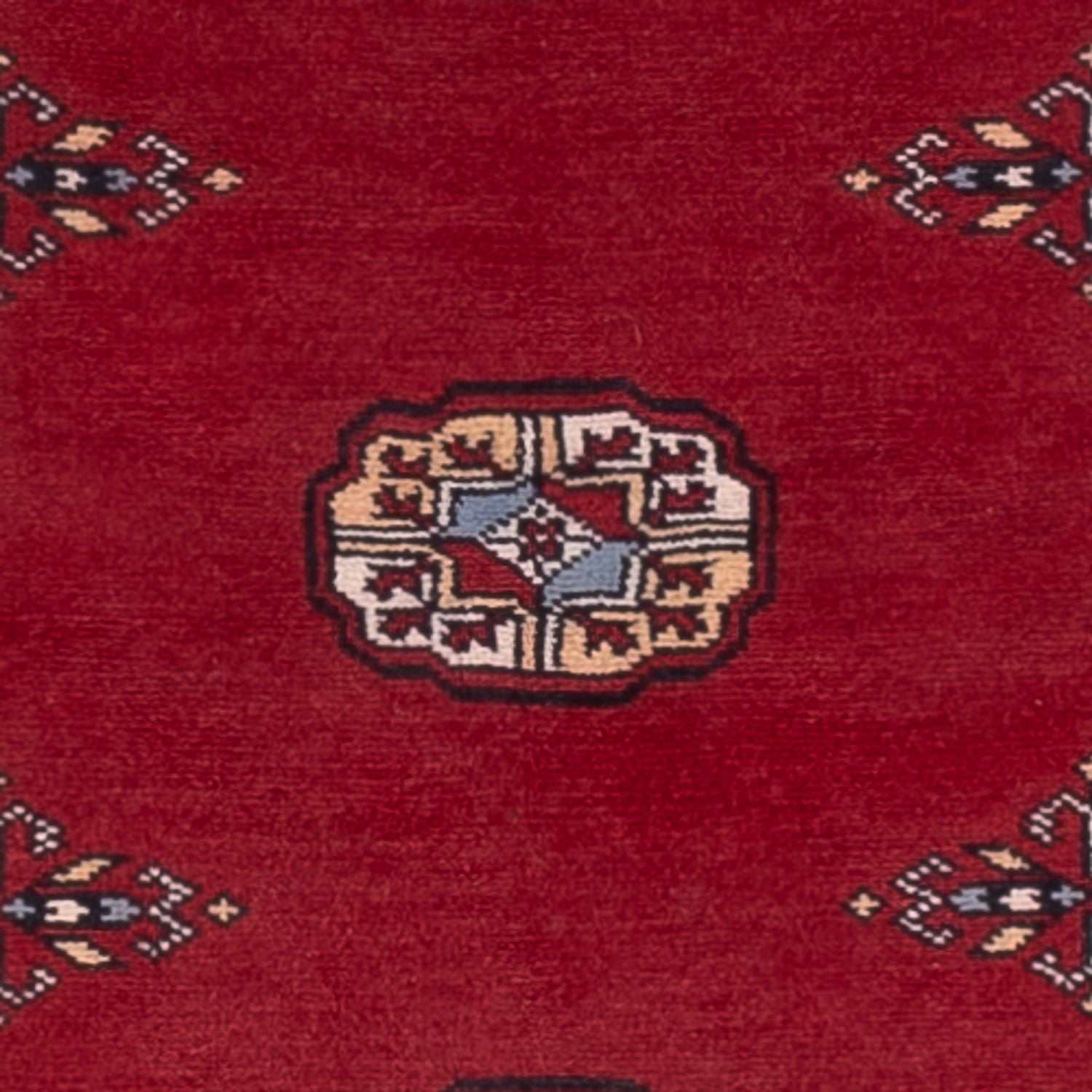 Alfombra de pasillo Alfombra Pakistani - 247 x 77 cm - rojo