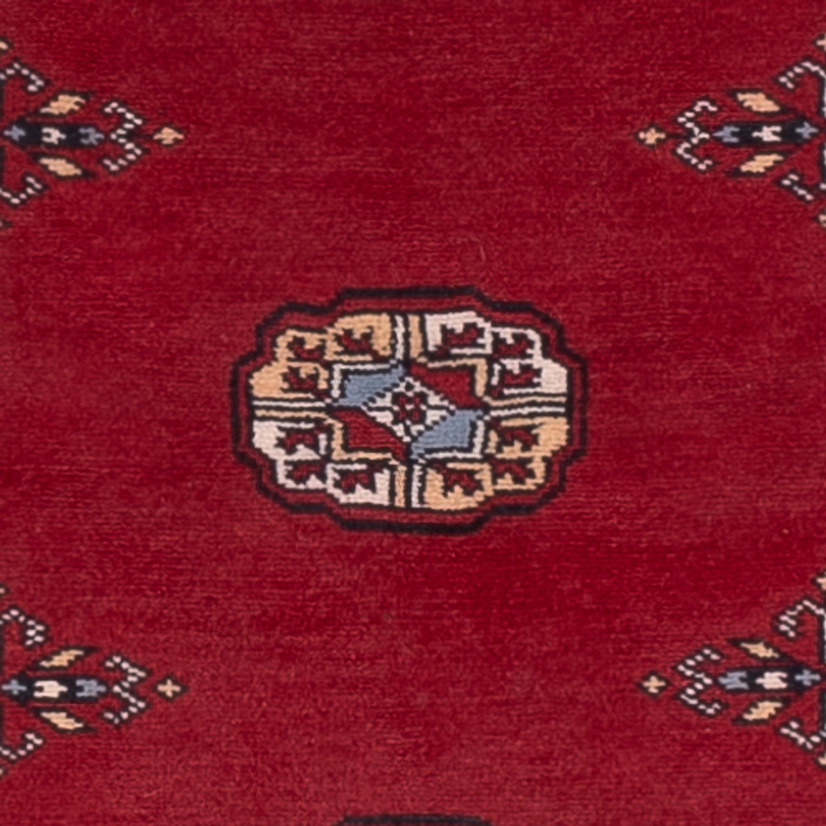 Alfombra de pasillo Alfombra Pakistani - 247 x 77 cm - rojo