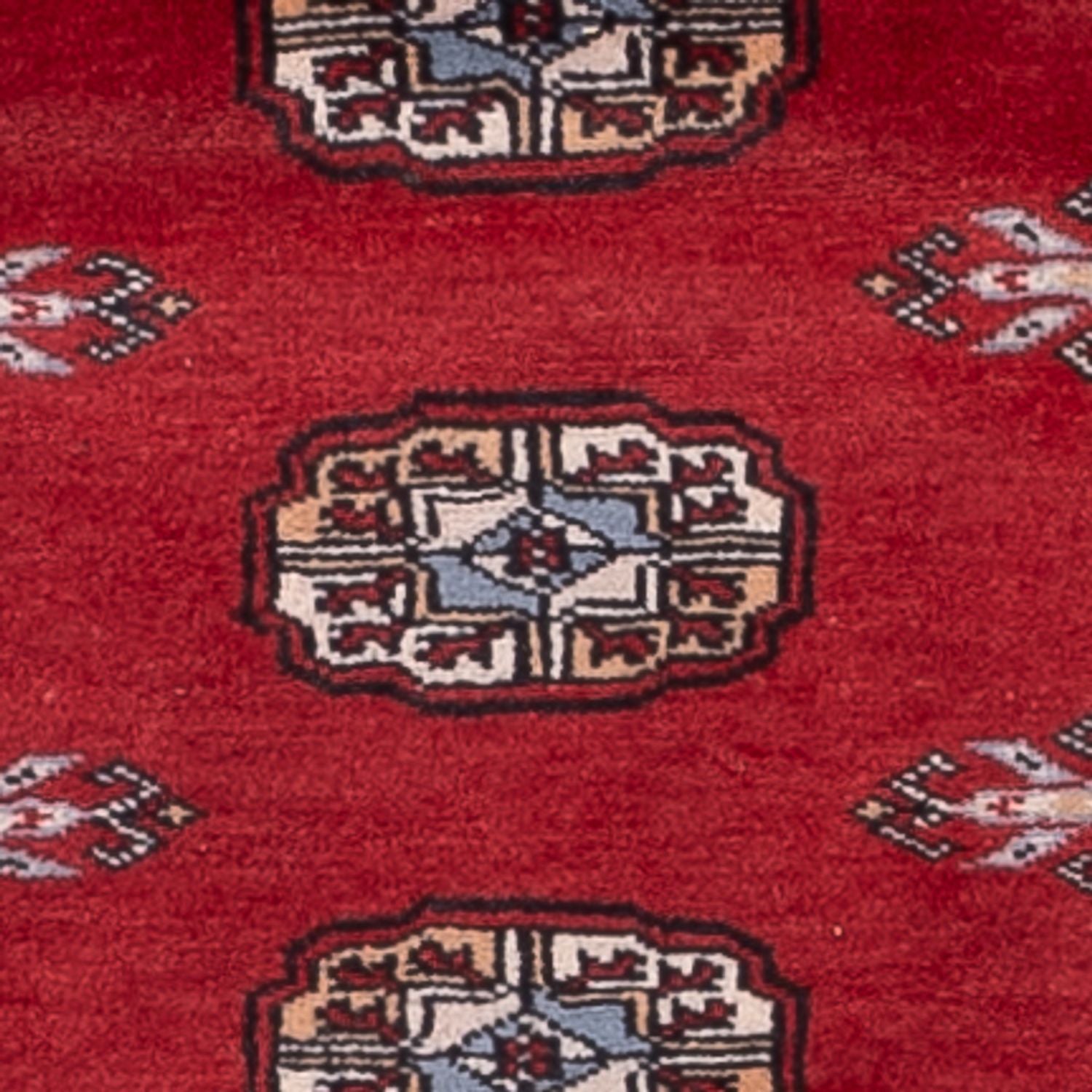 Alfombra de pasillo Alfombra Pakistani - 179 x 79 cm - rojo