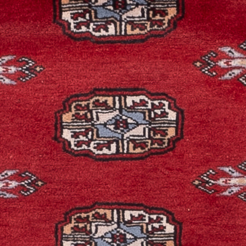 Alfombra de pasillo Alfombra Pakistani - 179 x 79 cm - rojo