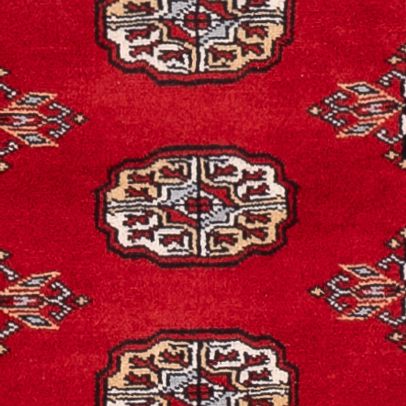 Alfombra de pasillo Alfombra Pakistani - 183 x 78 cm - rojo