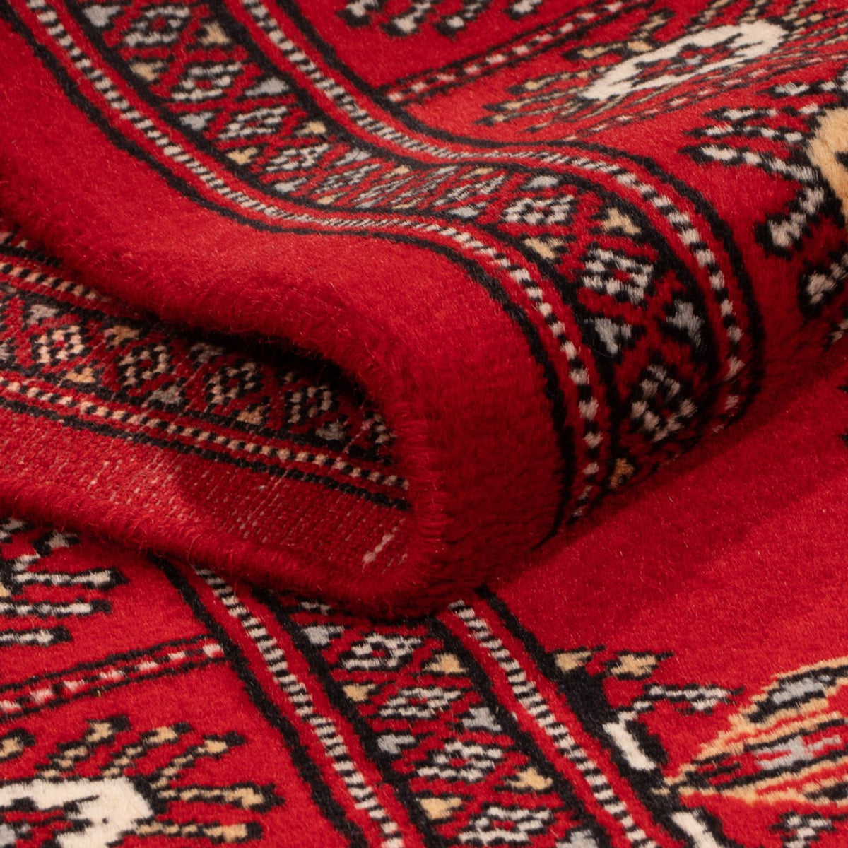 Alfombra de pasillo Alfombra Pakistani - 183 x 78 cm - rojo