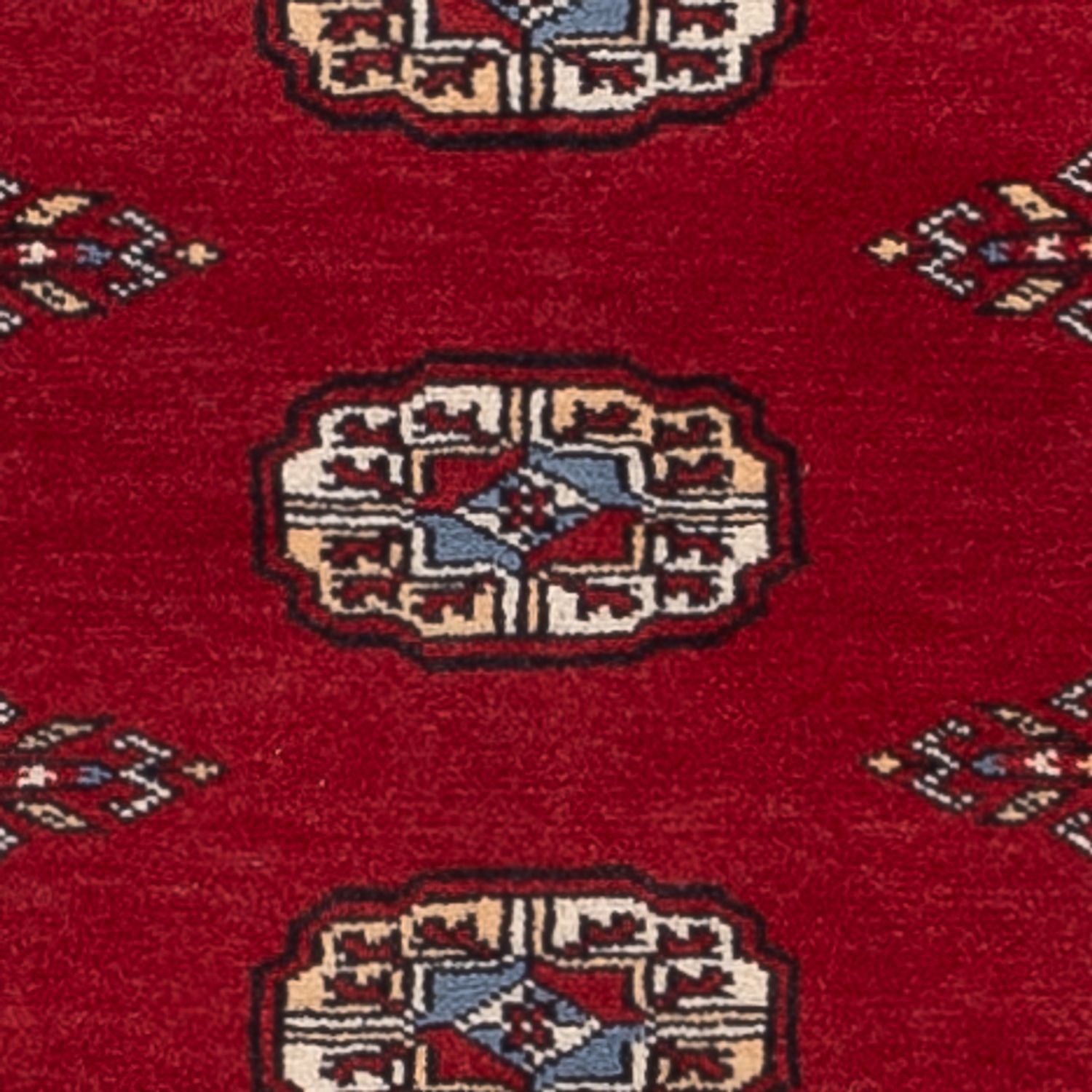 Alfombra de pasillo Alfombra Pakistani - 200 x 79 cm - rojo