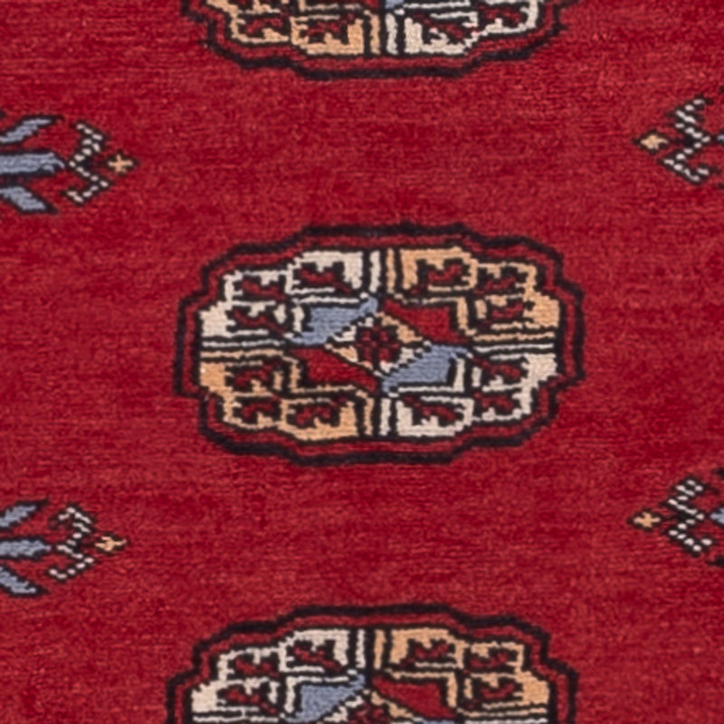 Alfombra de pasillo Alfombra Pakistani - 191 x 80 cm - rojo