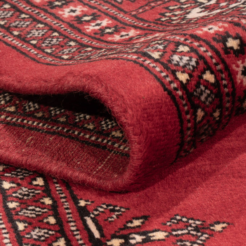 Alfombra Pakistani - 185 x 138 cm - rojo