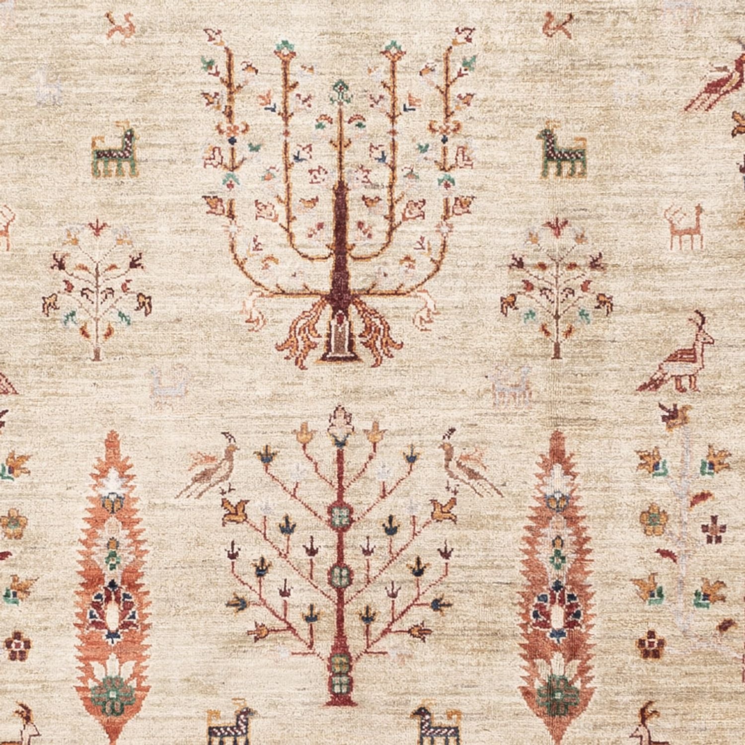Alfombra Ziegler - Ariana - 305 x 207 cm - beige