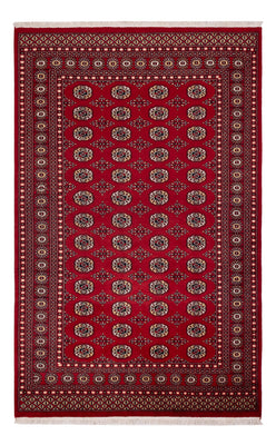 Alfombra Pakistani - 256 x 167 cm - rojo