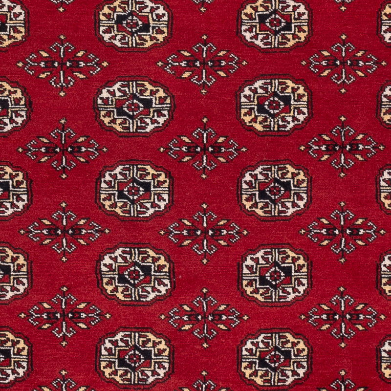 Alfombra Pakistani - 256 x 167 cm - rojo