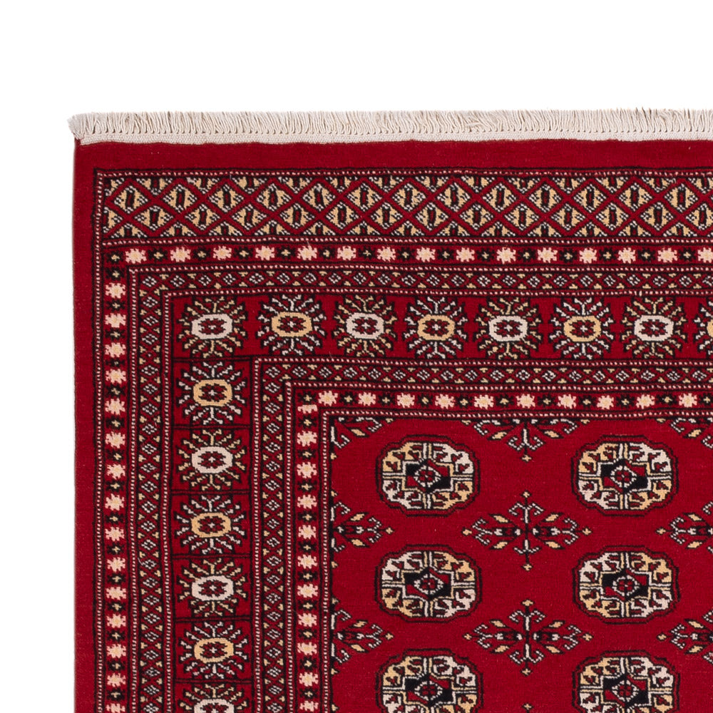 Alfombra Pakistani - 256 x 167 cm - rojo