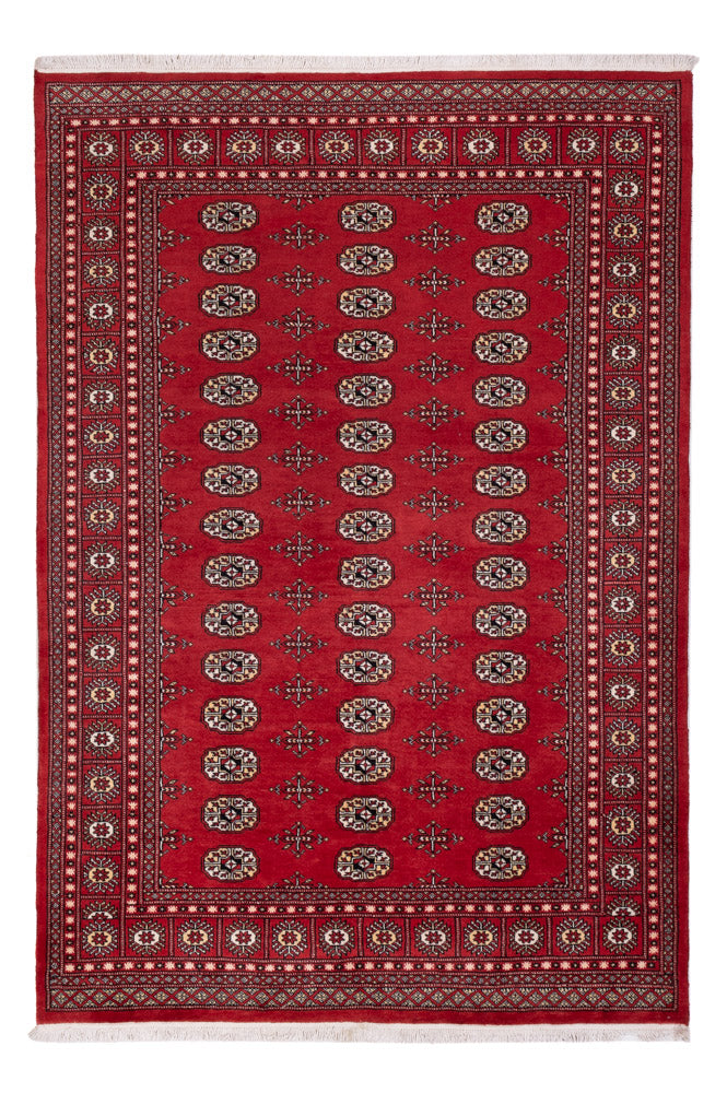 Alfombra Pakistani - 243 x 168 cm - rojo