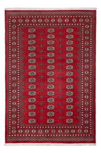 Alfombra Pakistani - 243 x 168 cm - rojo