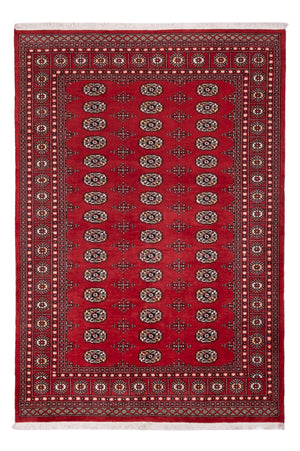 Alfombra Pakistani - 243 x 168 cm - rojo