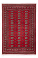 Alfombra Pakistani 168x243cm - Alfombra oriental