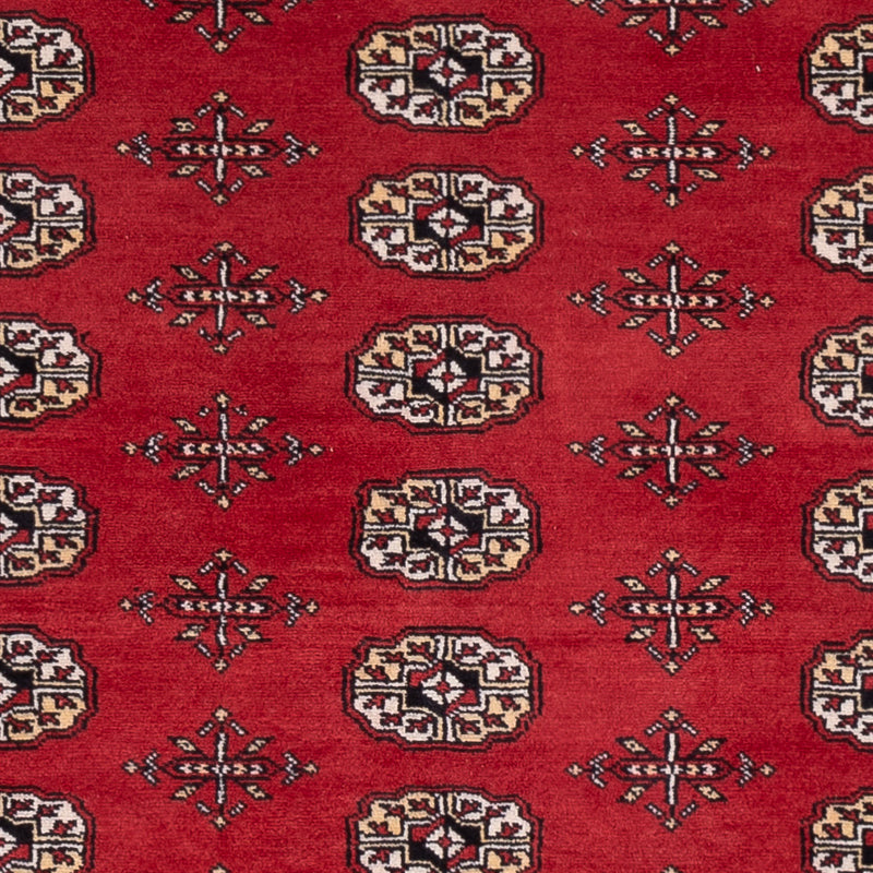 Alfombra Pakistani - 243 x 168 cm - rojo