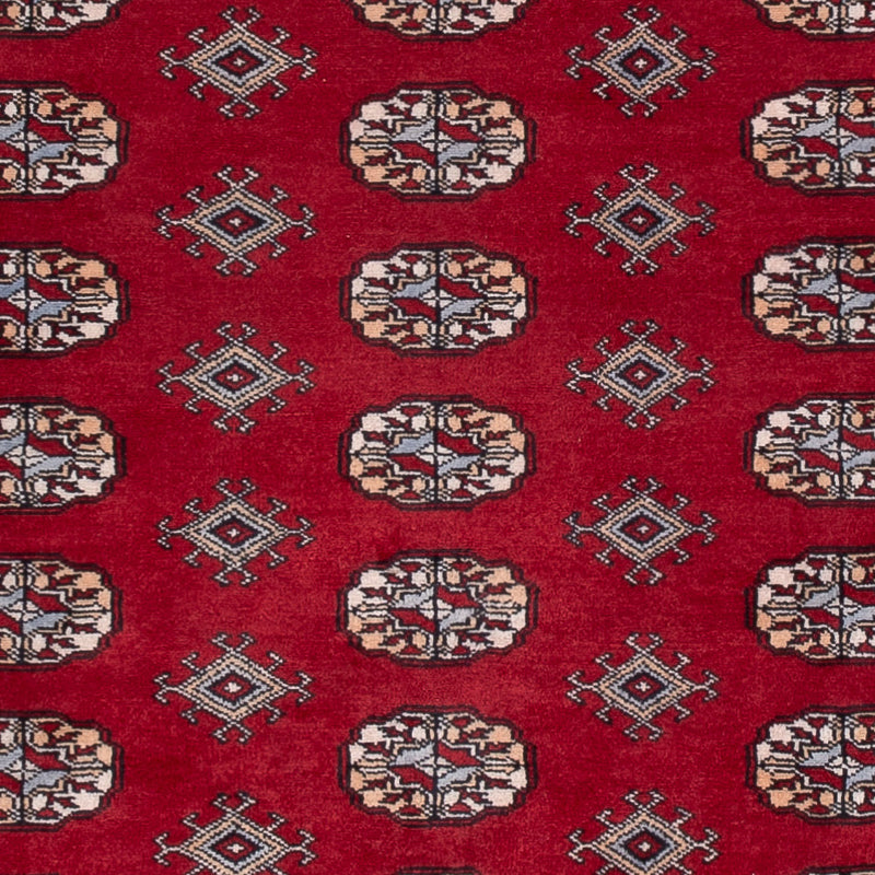 Alfombra Pakistani - 241 x 154 cm - rojo