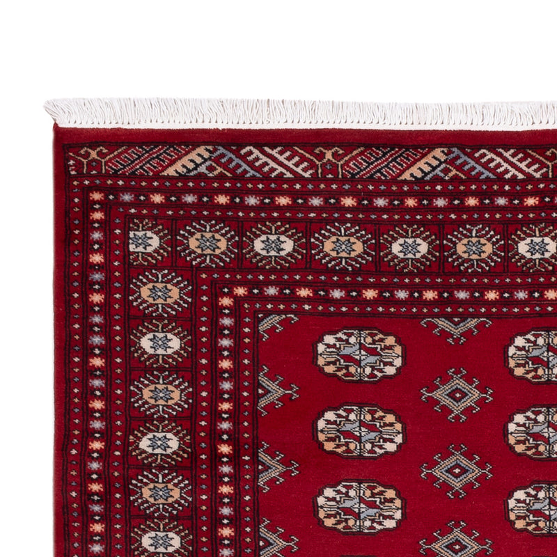 Alfombra Pakistani - 241 x 154 cm - rojo
