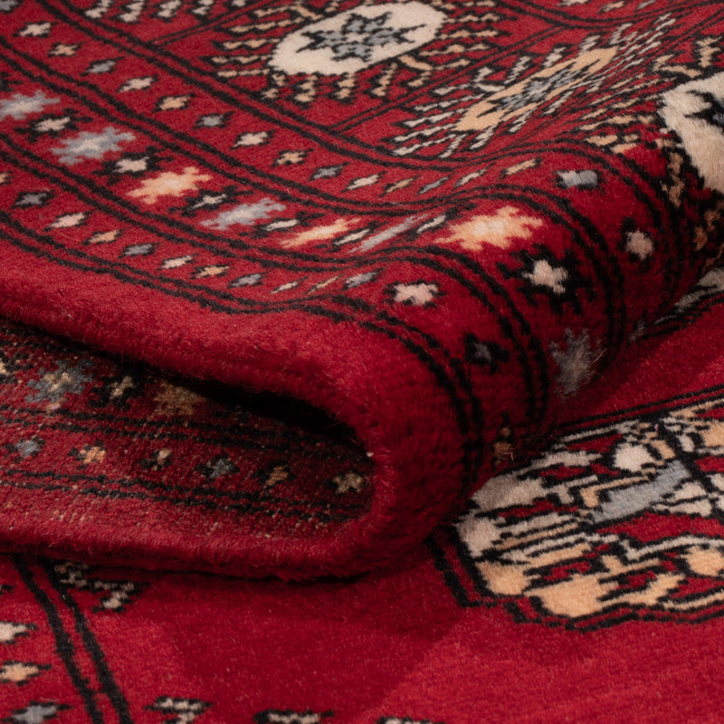 Alfombra Pakistani - 241 x 154 cm - rojo
