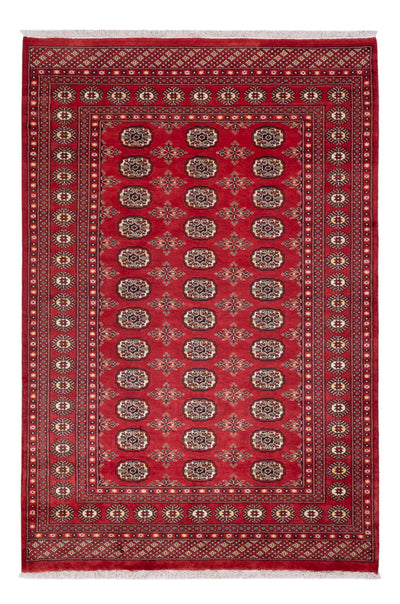 Alfombra Pakistani 158x237cm - Alfombra oriental
