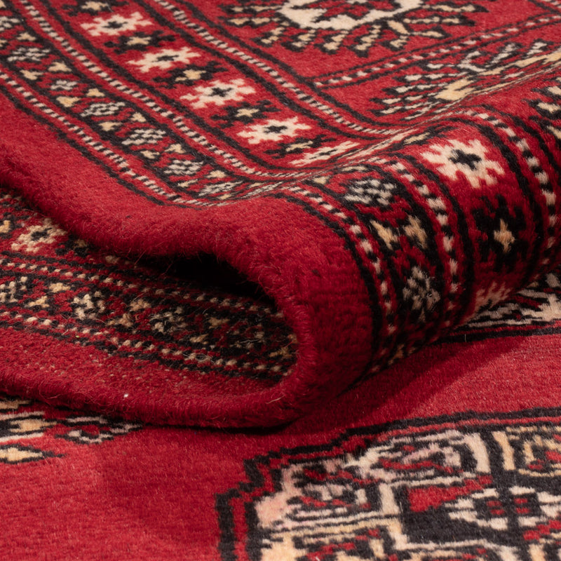 Alfombra Pakistani - 240 x 171 cm - rojo