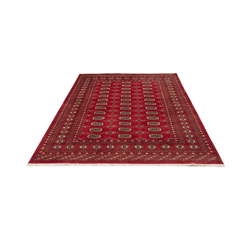 Alfombra Pakistani - 250 x 159 cm - rojo