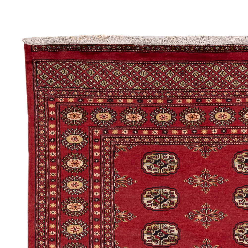 Alfombra Pakistani - 241 x 173 cm - rojo