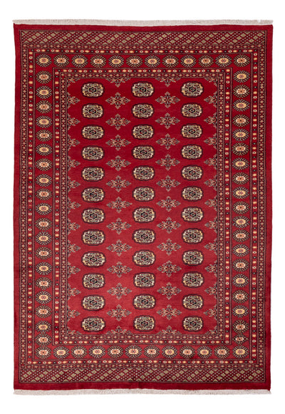 Alfombra Pakistani 170x245cm - Alfombra oriental