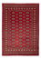 Alfombra Pakistani - 245 x 170 cm - rojo