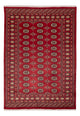 Alfombra Pakistani 170x245cm - Alfombra oriental