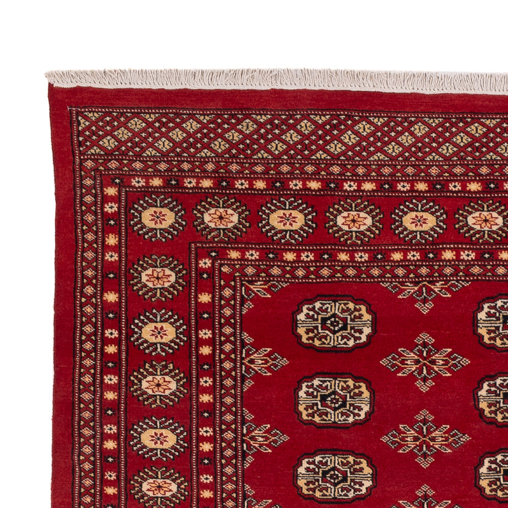 Alfombra Pakistani - 245 x 170 cm - rojo