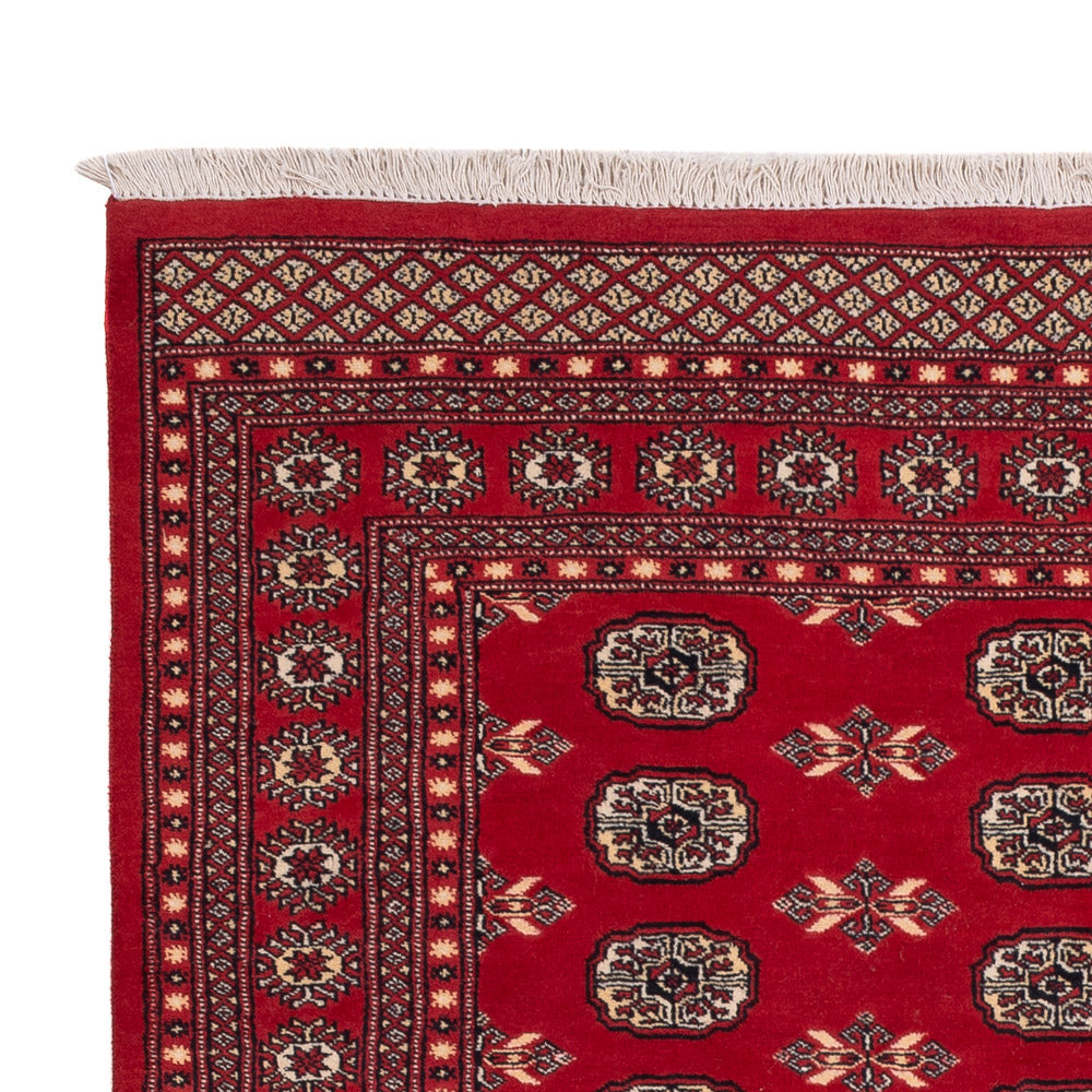 Alfombra Pakistani - 258 x 179 cm - rojo