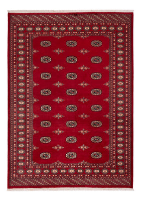 Alfombra Pakistani - 236 x 171 cm - rojo