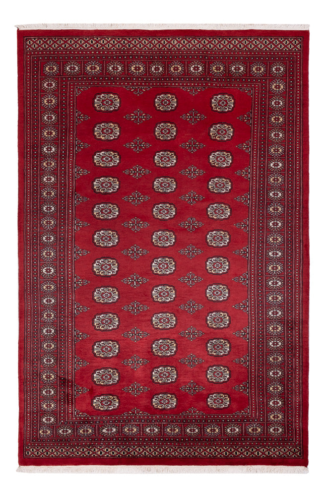 Alfombra Pakistani - 249 x 167 cm - rojo