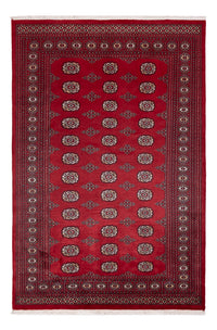 Alfombra Pakistani - 249 x 167 cm - rojo