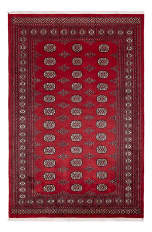 Alfombra Pakistani - 249 x 167 cm - rojo