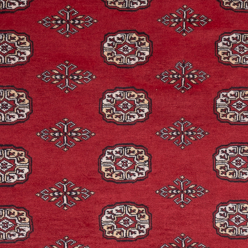 Alfombra Pakistani - 249 x 167 cm - rojo