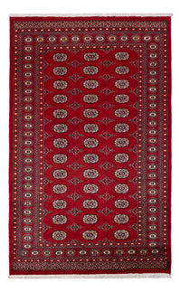 Alfombra Pakistani - 266 x 167 cm - rojo