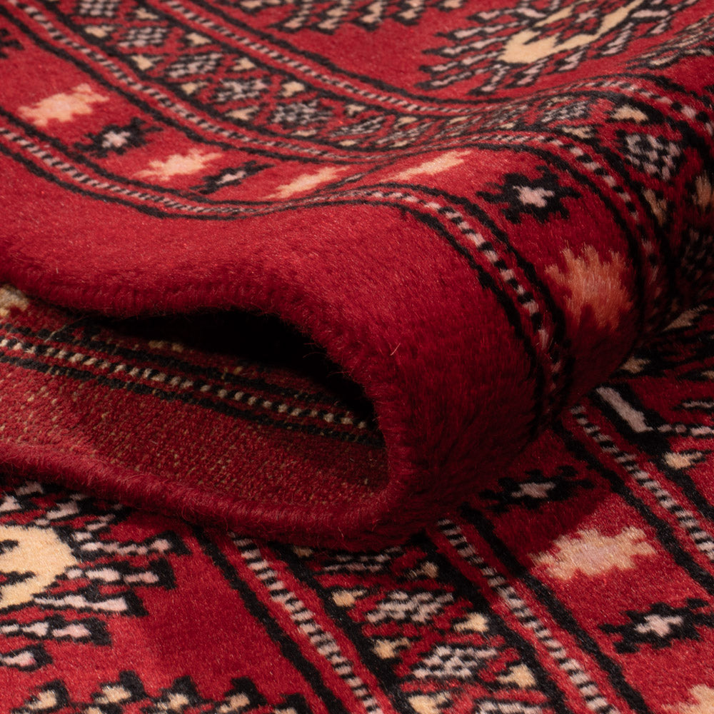 Alfombra Pakistani - 266 x 167 cm - rojo