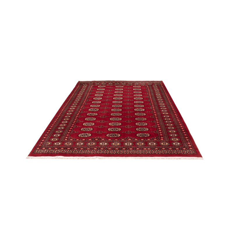 Alfombra Pakistani - 266 x 167 cm - rojo