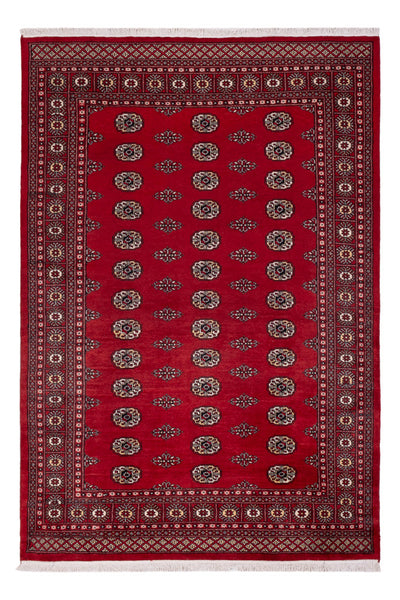 Alfombra Pakistani 164x239cm - Alfombra oriental