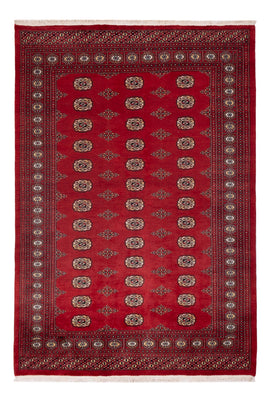 Alfombra Pakistani - 235 x 165 cm - rojo
