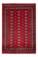 Alfombra Pakistani 165x235cm - Alfombra oriental