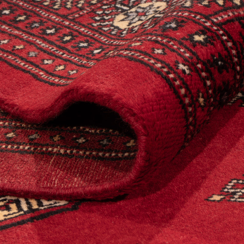 Alfombra Pakistani - 235 x 165 cm - rojo