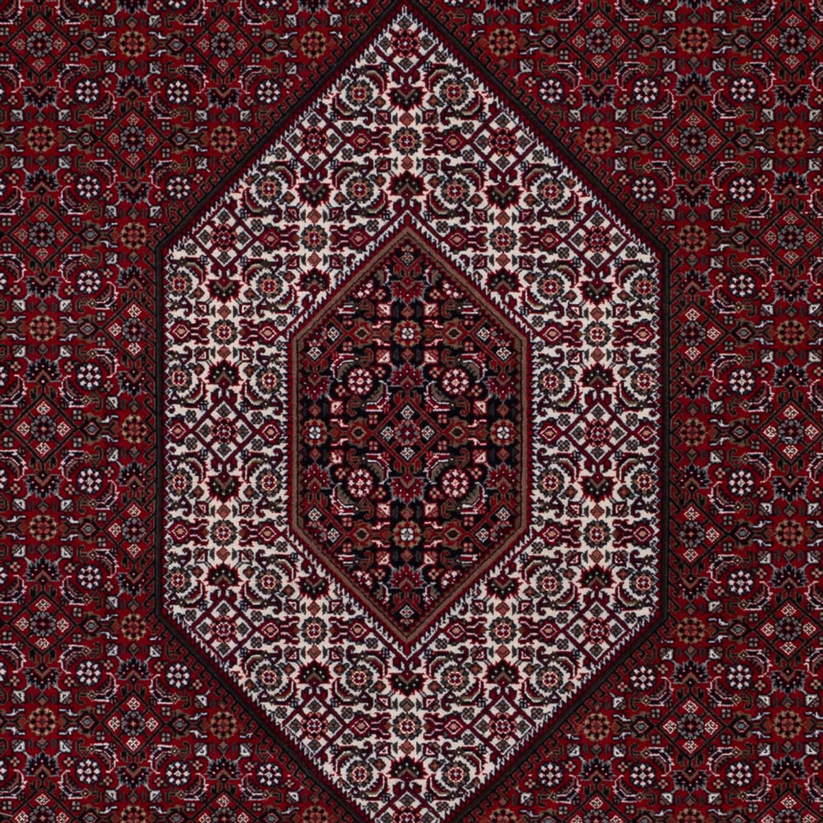 Alfombra oriental - Bidjar - Indus - 298 x 200 cm - camello oscuro
