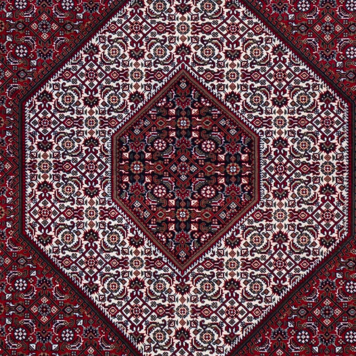 Alfombra oriental - Bidjar - Indus - 305 x 251 cm - rojo oscuro