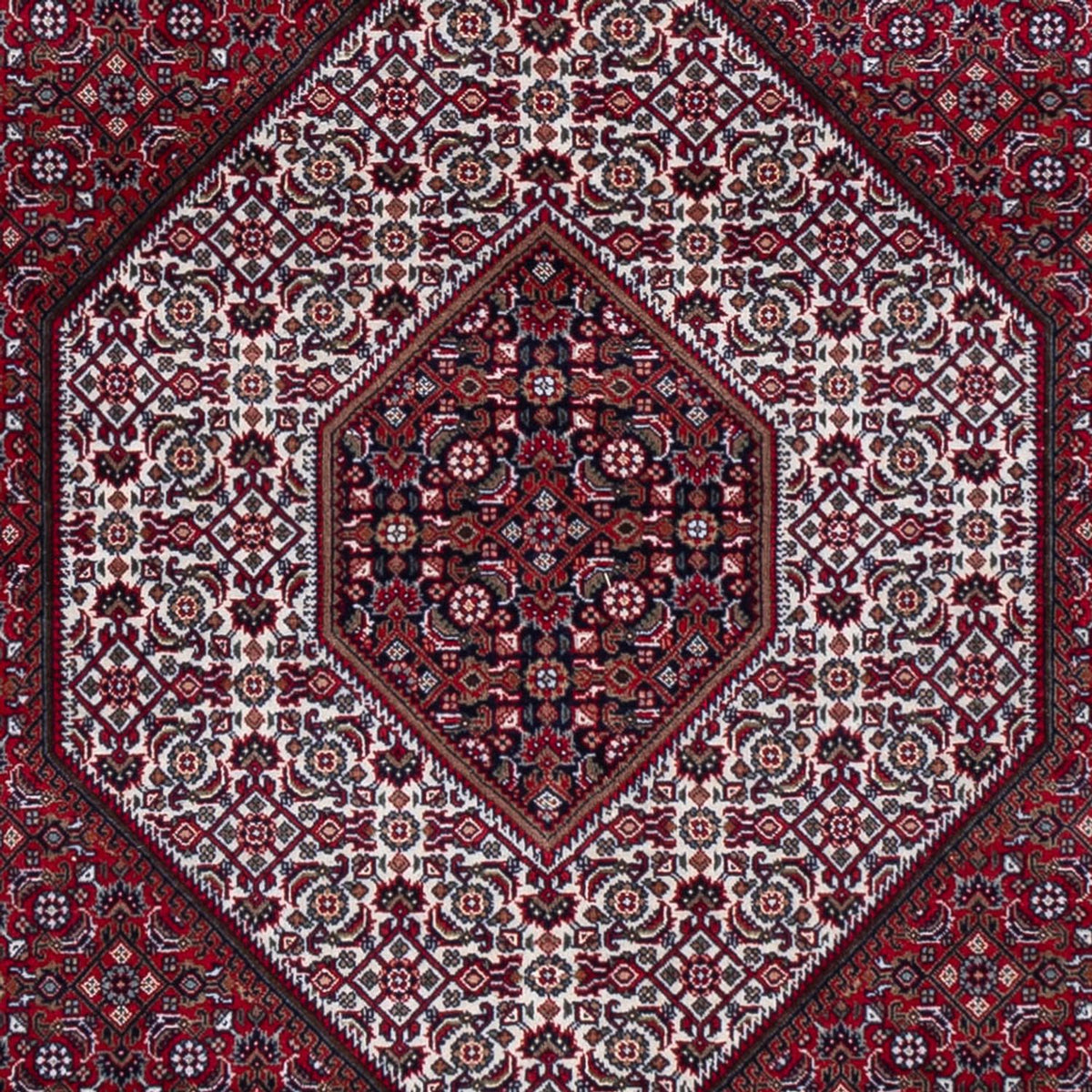 Alfombra oriental - Bidjar - Indus - 300 x 247 cm - rojo oscuro